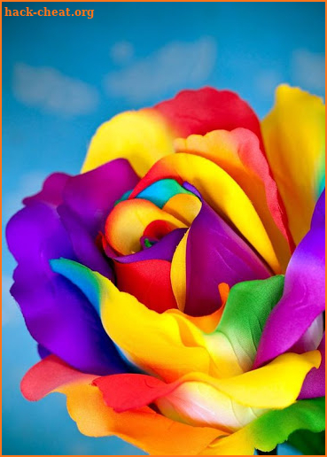 I Love Flowers Live Wallpapers, Free Rose Images screenshot