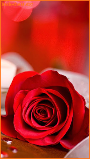 I love flowers Live Wallpapers, Roses Animated GIF screenshot