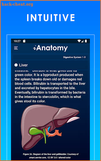 iAnatomy: Learn Anatomy | Human Anatomy screenshot