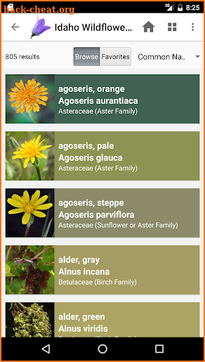 Idaho Wildflowers screenshot