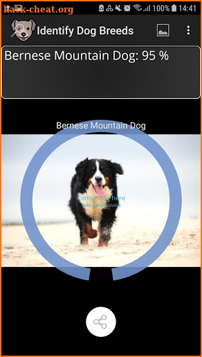 Identify Dog Breeds screenshot
