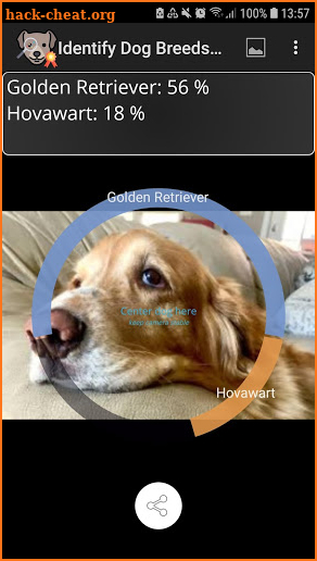 Identify Dog Breeds Pro screenshot
