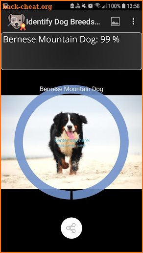 Identify Dog Breeds Pro screenshot