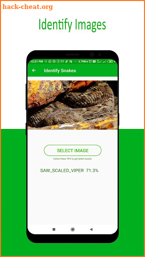 Identify Indian Snakes - by Photos screenshot