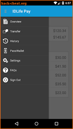 IDLife Pay screenshot