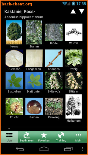 iForest - Trees and shrubs screenshot