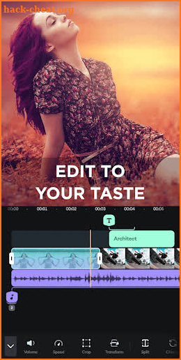 Illuminate Video Editor screenshot