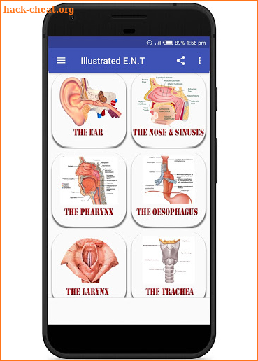 Illustrated ENT Handbook screenshot