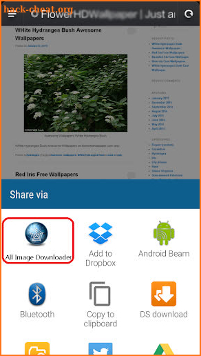 Image Downloader All - Search screenshot