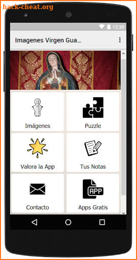 Imagenes de la Virgen de Guadalupe screenshot