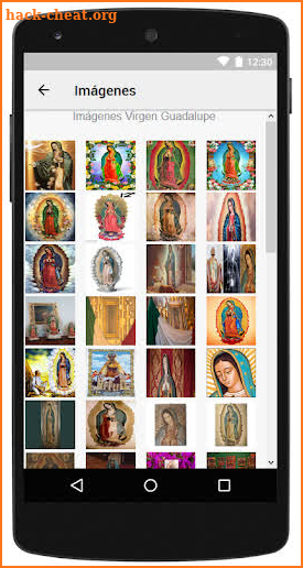 Imagenes de la Virgen de Guadalupe screenshot