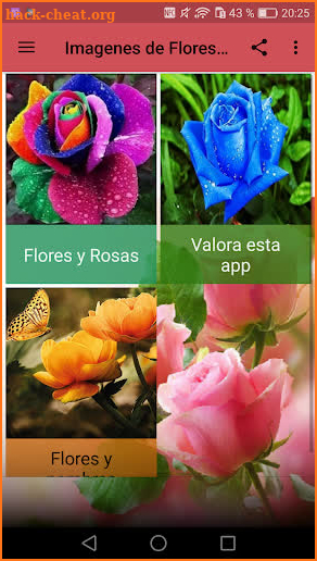 Images of Flowers and Roses screenshot