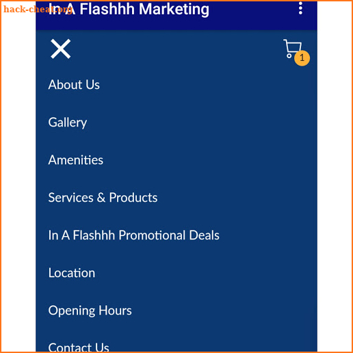 In A Flashhh Marketing screenshot