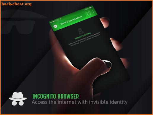 Incognito Browser screenshot