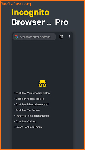 Incognito Browser Pro screenshot