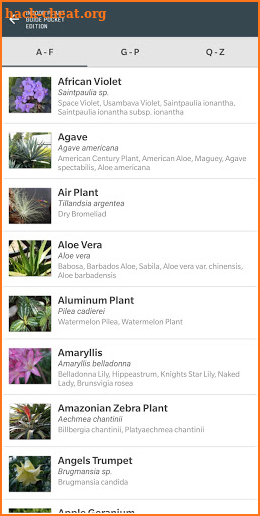 Indoor Plant Guide Pocket Edition screenshot