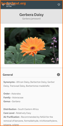 Indoor Plant Guide Pocket Edition screenshot