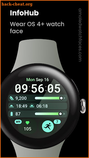 InfoHub Watch Face screenshot