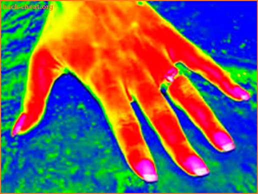 Infrared HD Filter: Thermal Vision Effect screenshot