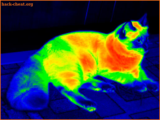 Infrared HD Filter: Thermal Vision Effect screenshot
