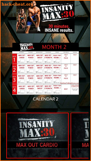 Insanity Max: 30 screenshot