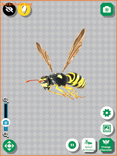 Insect 3D Reference screenshot