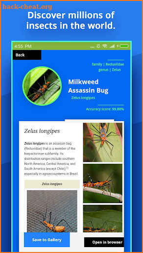 Insect Identifier screenshot