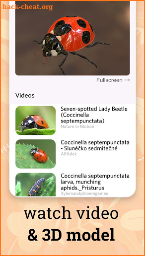 Insect identifier app - identity insects screenshot