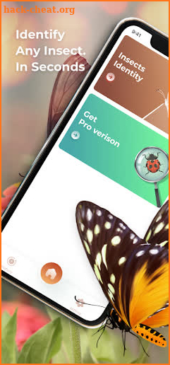 Insect Identifier - Bug identifier app screenshot