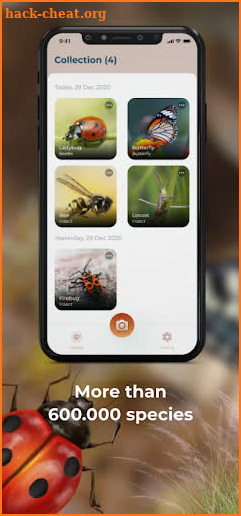 Insect Identifier - Bug identifier app screenshot