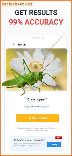 Insect Identifier Bug Identify screenshot