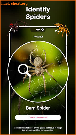 Insect Identifier : Insect ID, AI Photo Camera screenshot