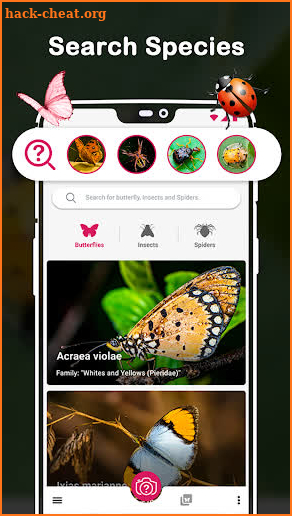 Insect Identifier : Insect ID, AI Photo Camera screenshot