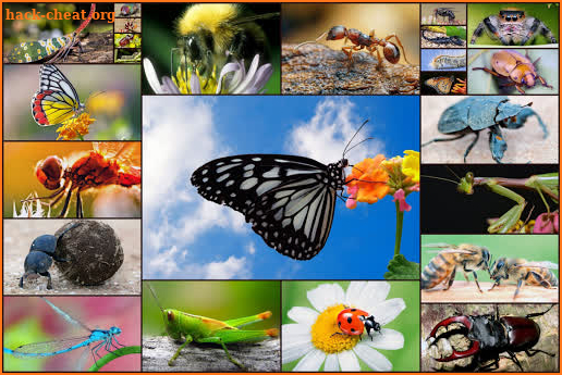 Insect Jigsaw Puzzles Game - For Kids & Adults 🐞 screenshot