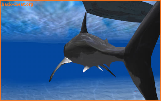 Inside Shark 3D Edition 2015 screenshot