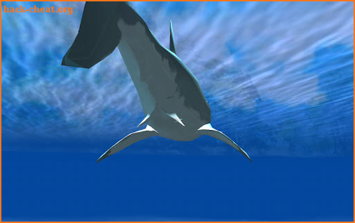 Inside Shark 3D Edition 2015 screenshot