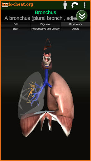 Internal Organs in 3D (Anatomy) screenshot