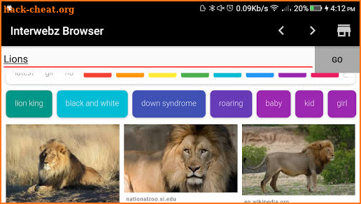 Interwebz Browser screenshot