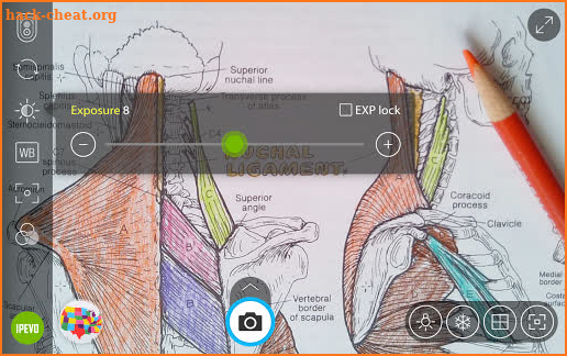 IPEVO Visualizer screenshot