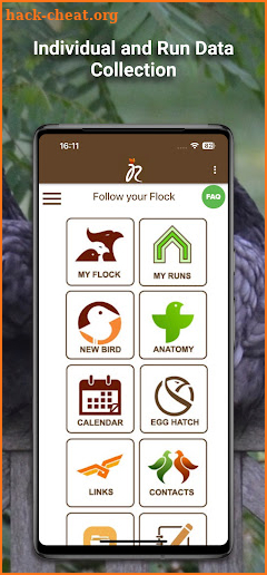 iRecord My Flock screenshot