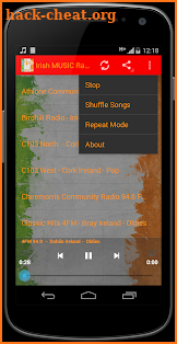 Irish Ireland MUSIC Radio screenshot