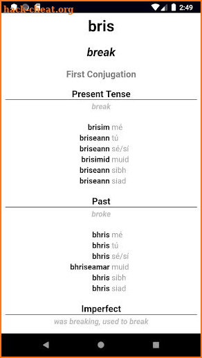 Irish Verb Blitz Pro screenshot