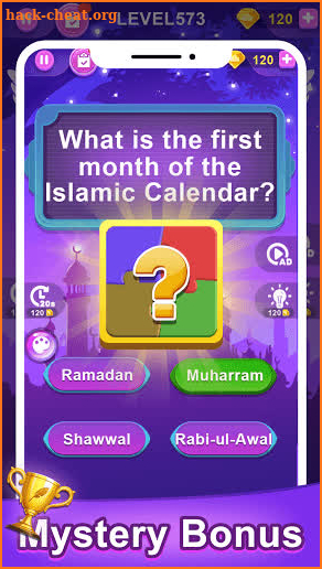 Islamic Quiz screenshot