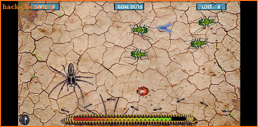 Isopod screenshot