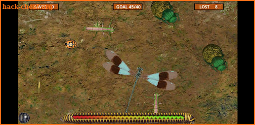 Isopod screenshot
