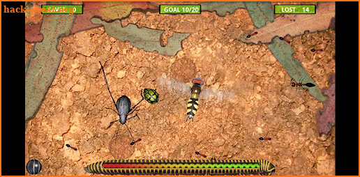 Isopod screenshot