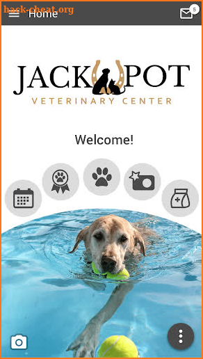 Jackpot Veterinary Center screenshot