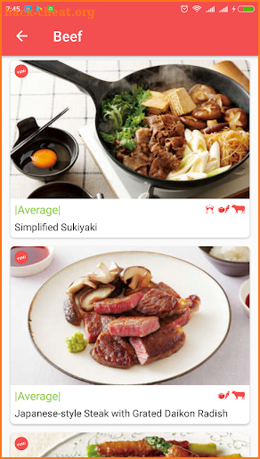 Japanese Food screenshot