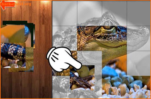 Jigsaw Animal 2019 - Best Puzzle screenshot