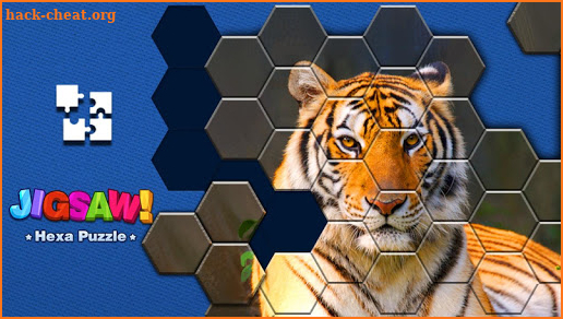 Jigsaw Puzzle - Hexa Block Puzzle screenshot